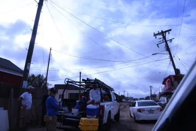 DSC_1537 (Large).JPG